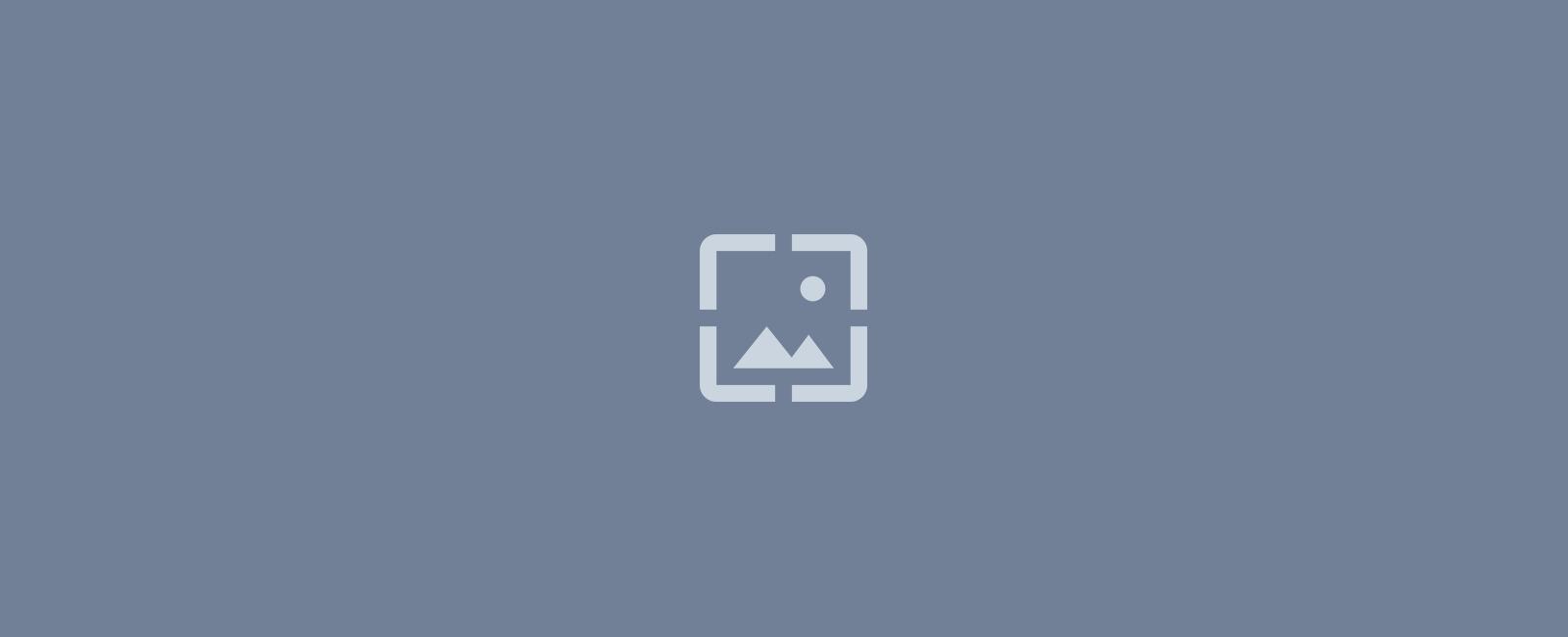Typescript Basic Types
