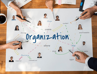 📘 Section 18: Organizational Systems